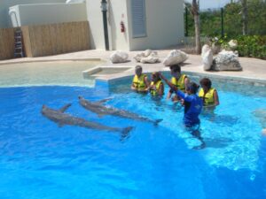NADO CON DELFINES