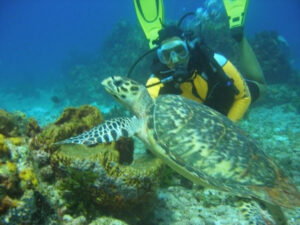 Scuba Diving Cancun