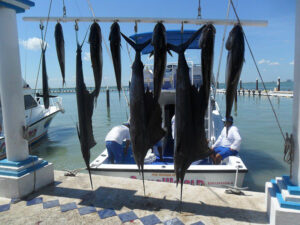 DEEP SEA FISHING